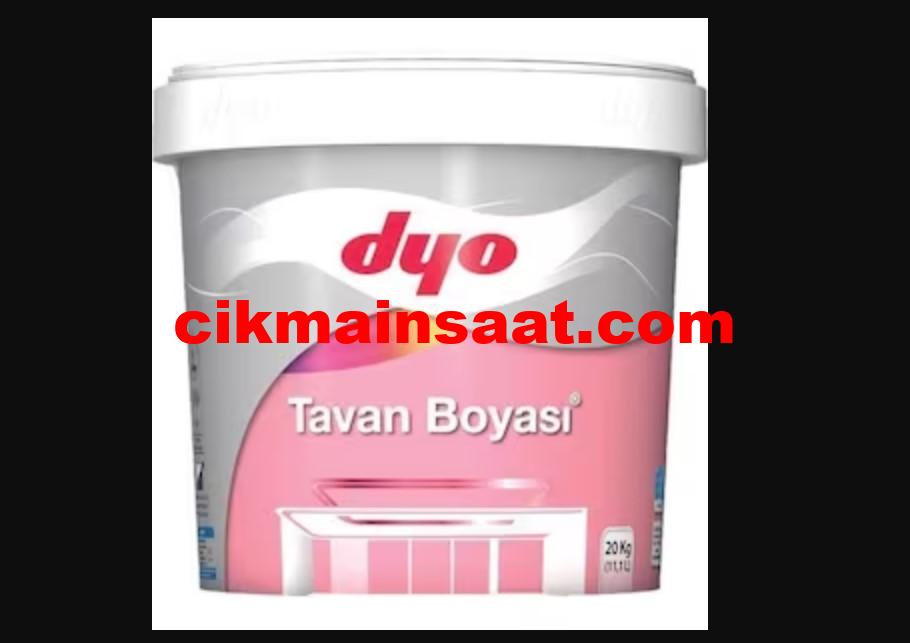 Dyo silinebilir spot iç cephe boya