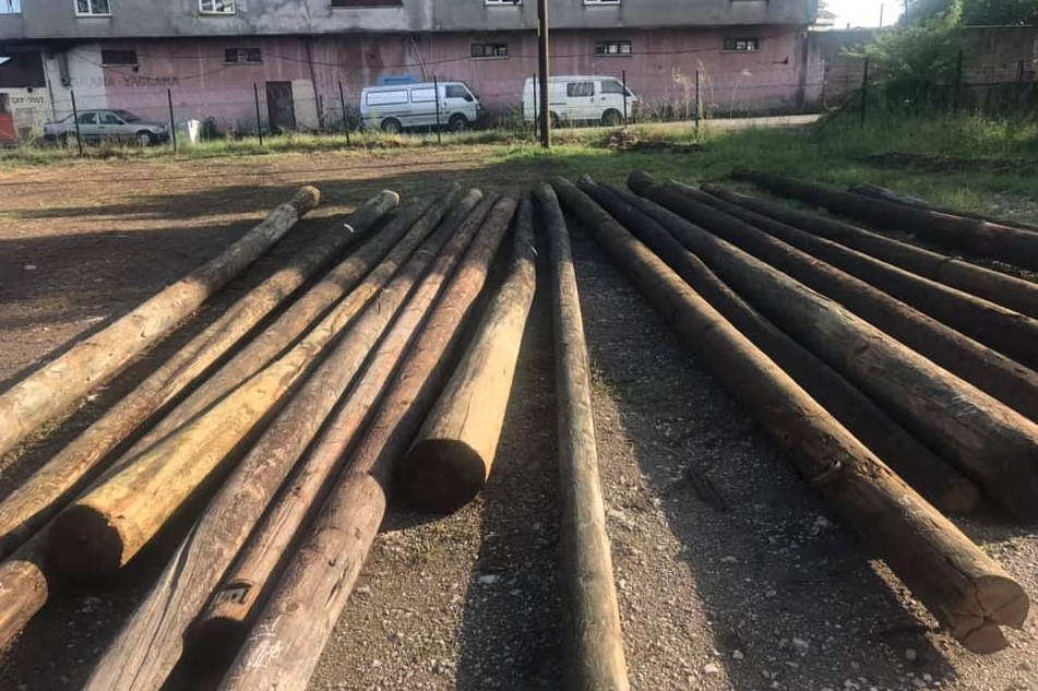 cikma agac elektrik diregi 1