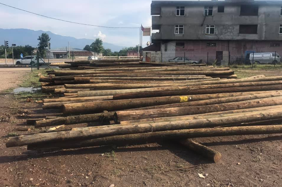 cikma agac elektrik diregi 2